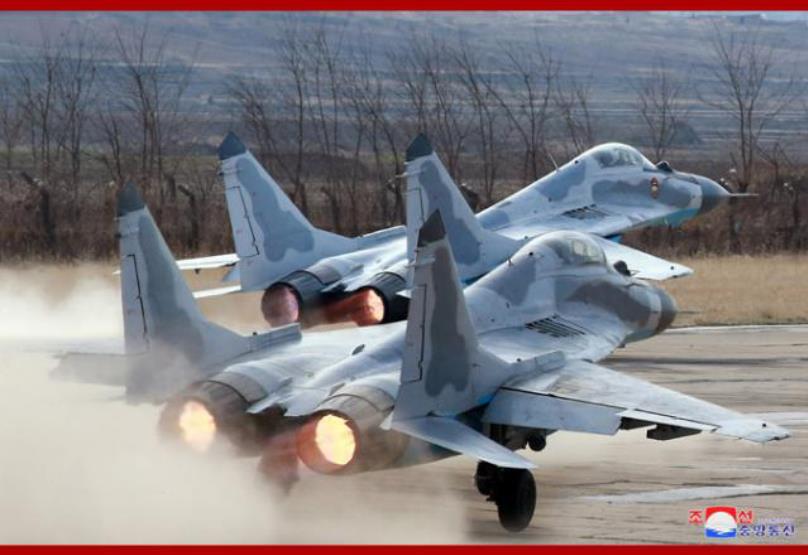 MiG -29 (data map)